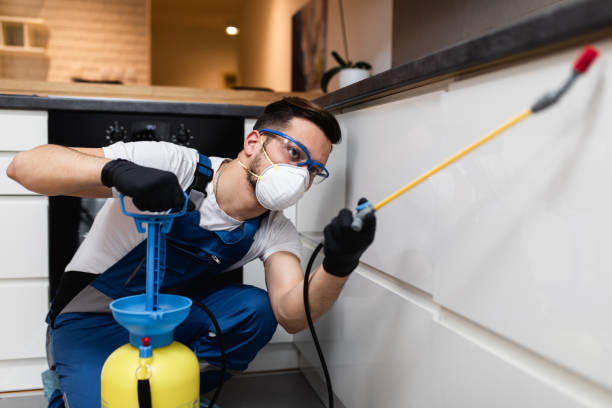 Best Cockroach Control Services  in Danbury, CT