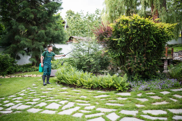 Best Ant Control Services  in Danbury, CT