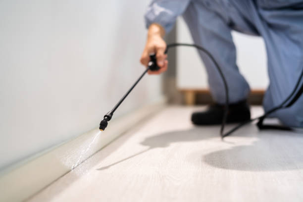 Best Best Pest Control Companies  in Danbury, CT