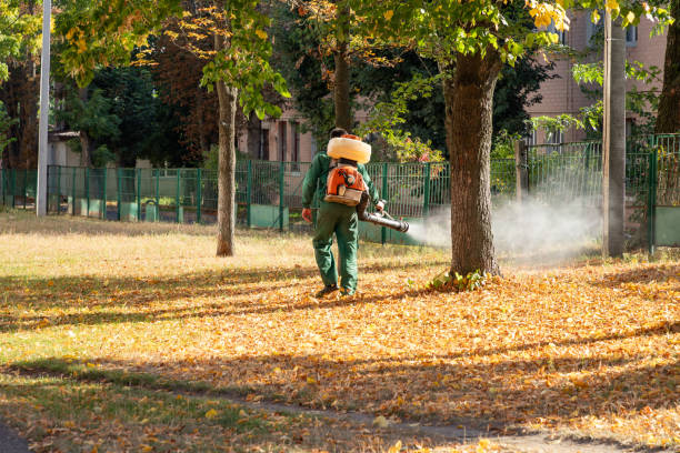 Reliable Danbury, CT Pest Control Solutions