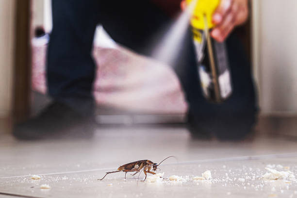 Best Affordable Pest Control Services  in Danbury, CT