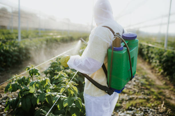 Best Exterminator Services  in Danbury, CT